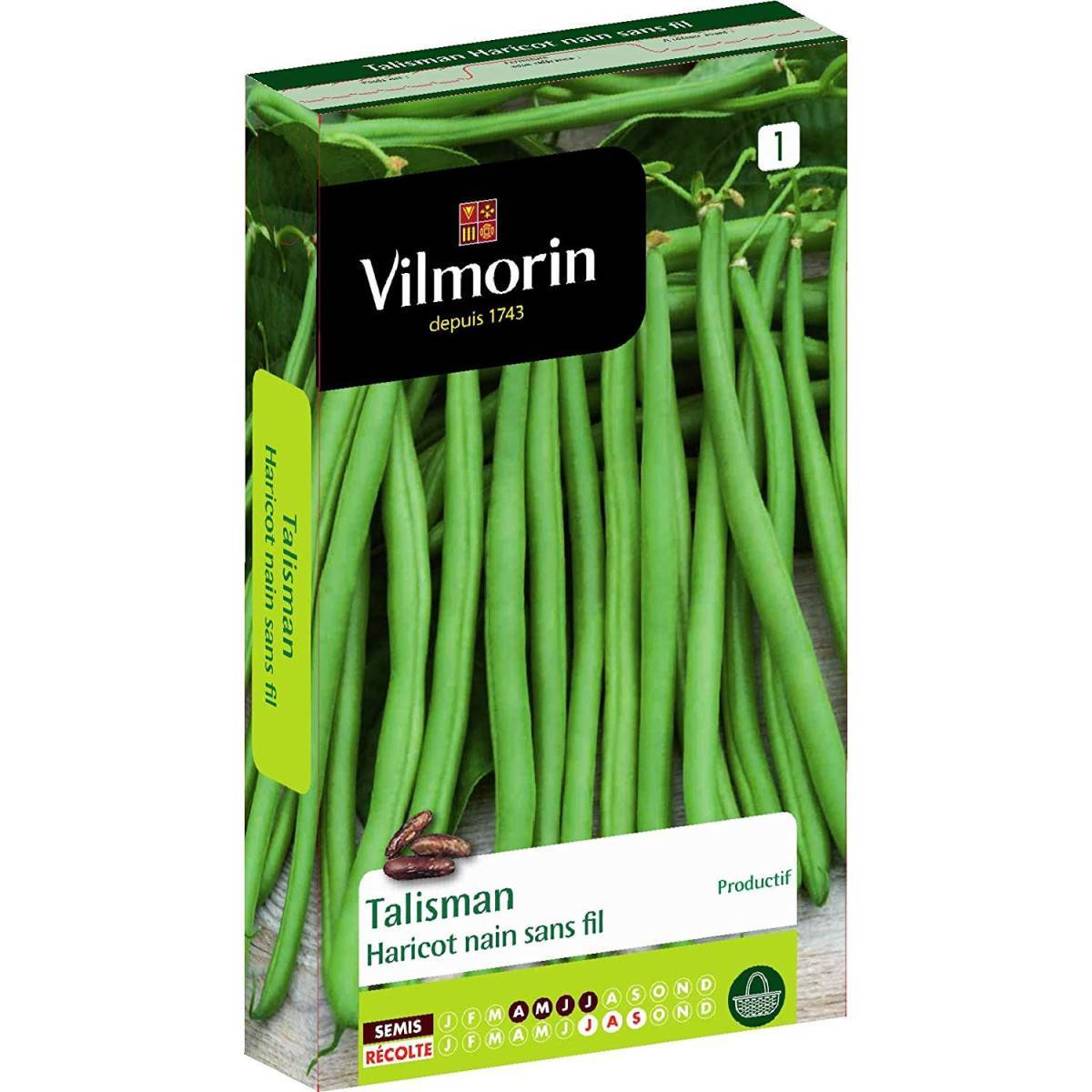 Vilmorin - Graines de Haricot vert sans fil TALISMAN vilmorin