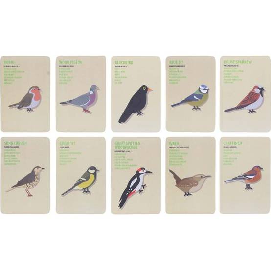 Esschert Design - Set explorateur avec sac pour enfant Oiseaux Kids In The Garden - Image 2