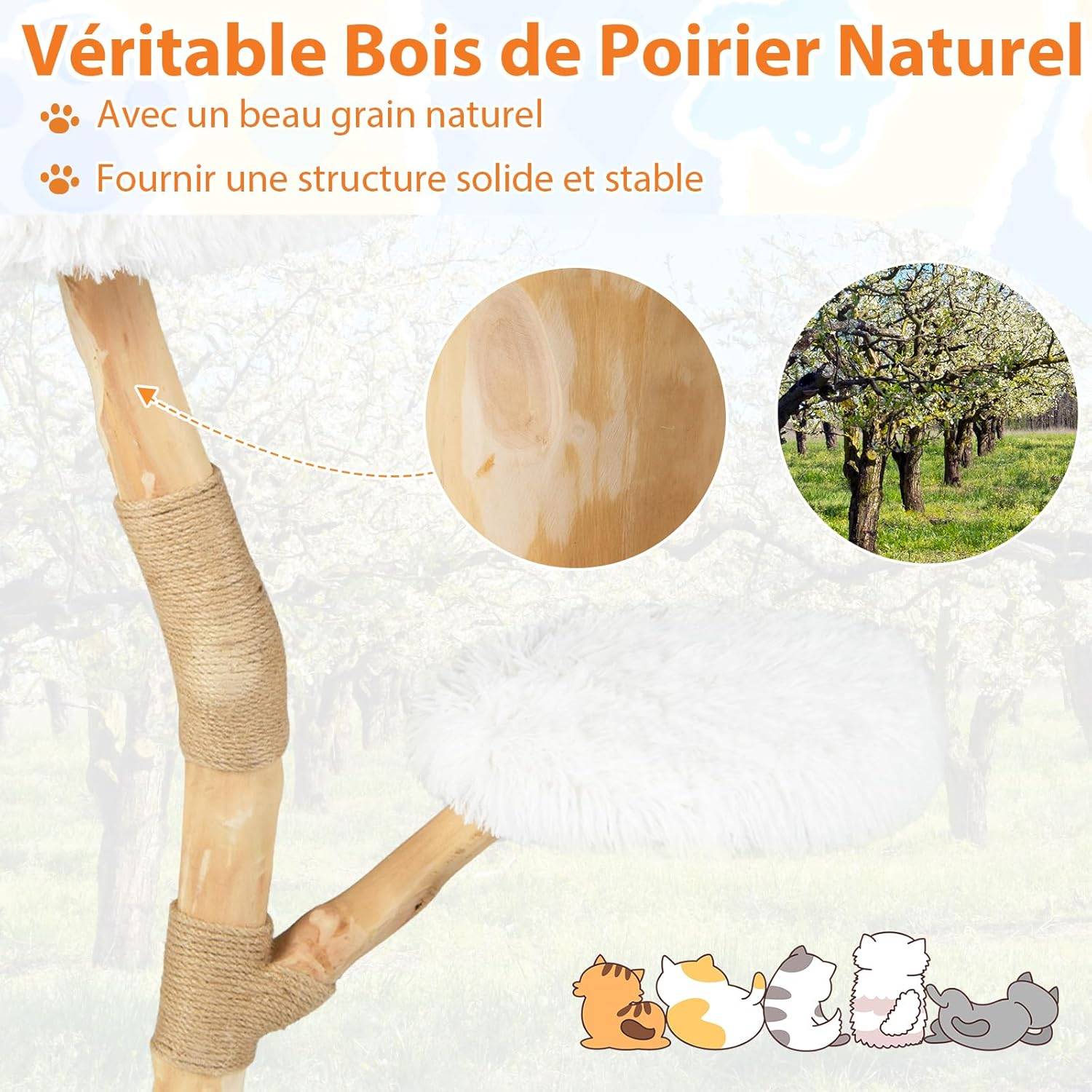 Arbre à Chat, Arbre a Chat Bois de Poirier, 3 Plateformes, Poteaux à Griffer en Jute, Corde en Jute, Tissu Peluche, Tour pour Chaton à 3 Niveaux, Chaq - Image 2
