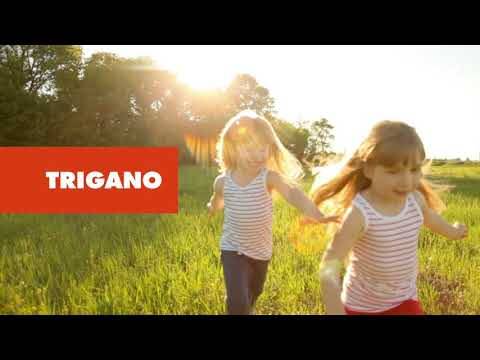 Trigano - Portique XALTO bois/métal 2,30 m - 2 balançoires + 1 échelle + toboggan Trigano - Imagen 4