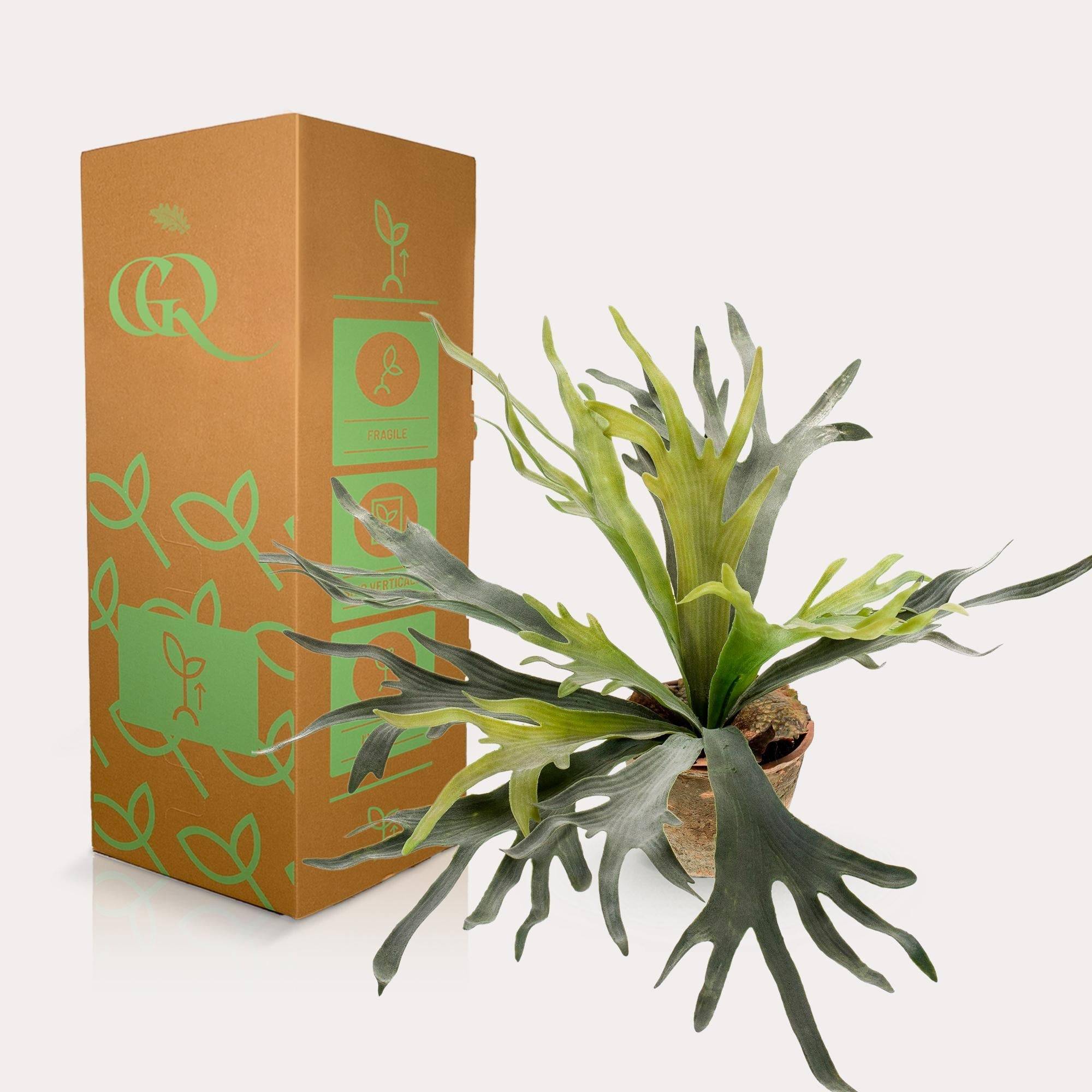 La Green Touch - Platycerium plante artificielle- h50cm, Ø15cm- La Green Touch - Imagen 4