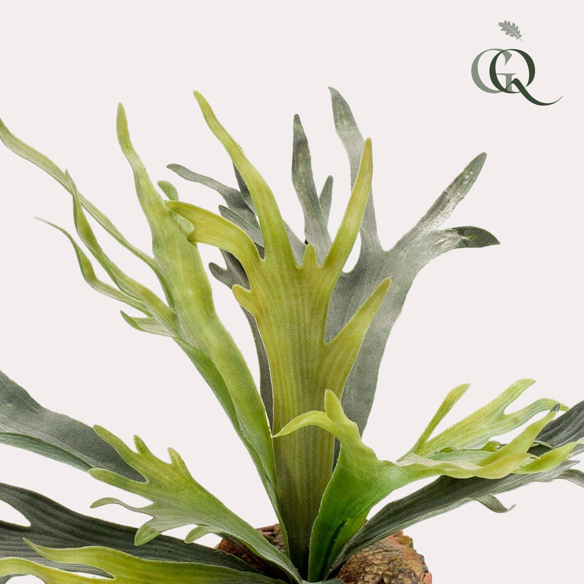La Green Touch - Platycerium plante artificielle- h50cm, Ø15cm- La Green Touch - Imagen 2