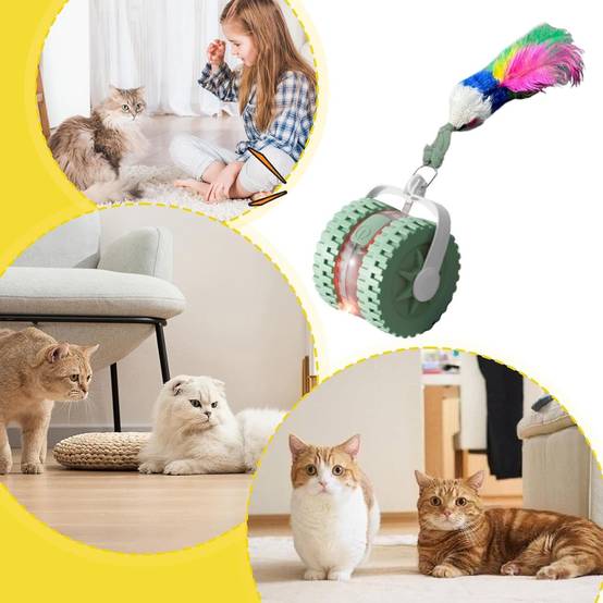 Jouet Automatique Éducatif pour Félin DtopbuyAge - Image 4
