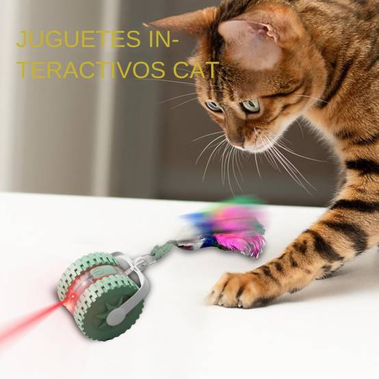 Jouet Automatique Éducatif pour Félin DtopbuyAge - Image 3