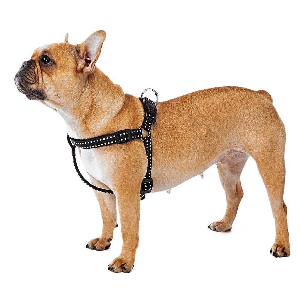 Ferplast - Harnais pour Chiens CRICKET LARGE, Résistant, Rembourré et Réglable - Imagen 7