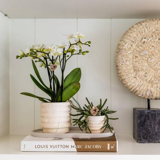 Sierpot en céramique Marble Light- La Green Touch - Image 2