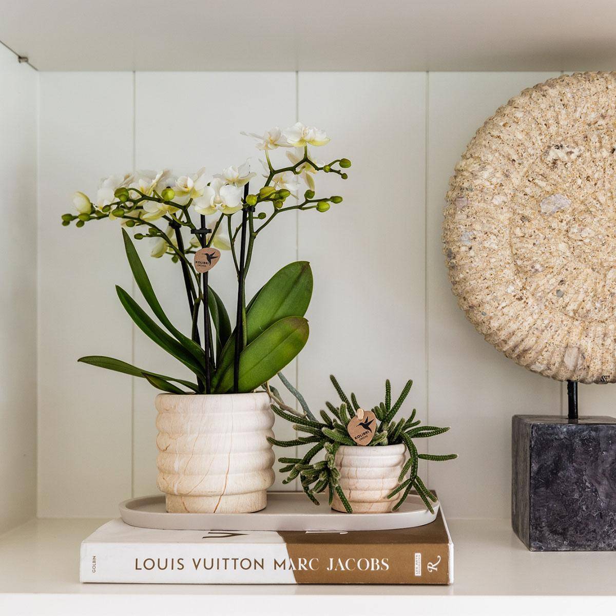 Sierpot en céramique Marble Light- La Green Touch - Imagen 2