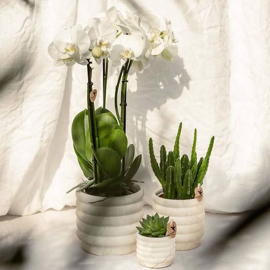 Sierpot en céramique Marble Light- La Green Touch - Image 6