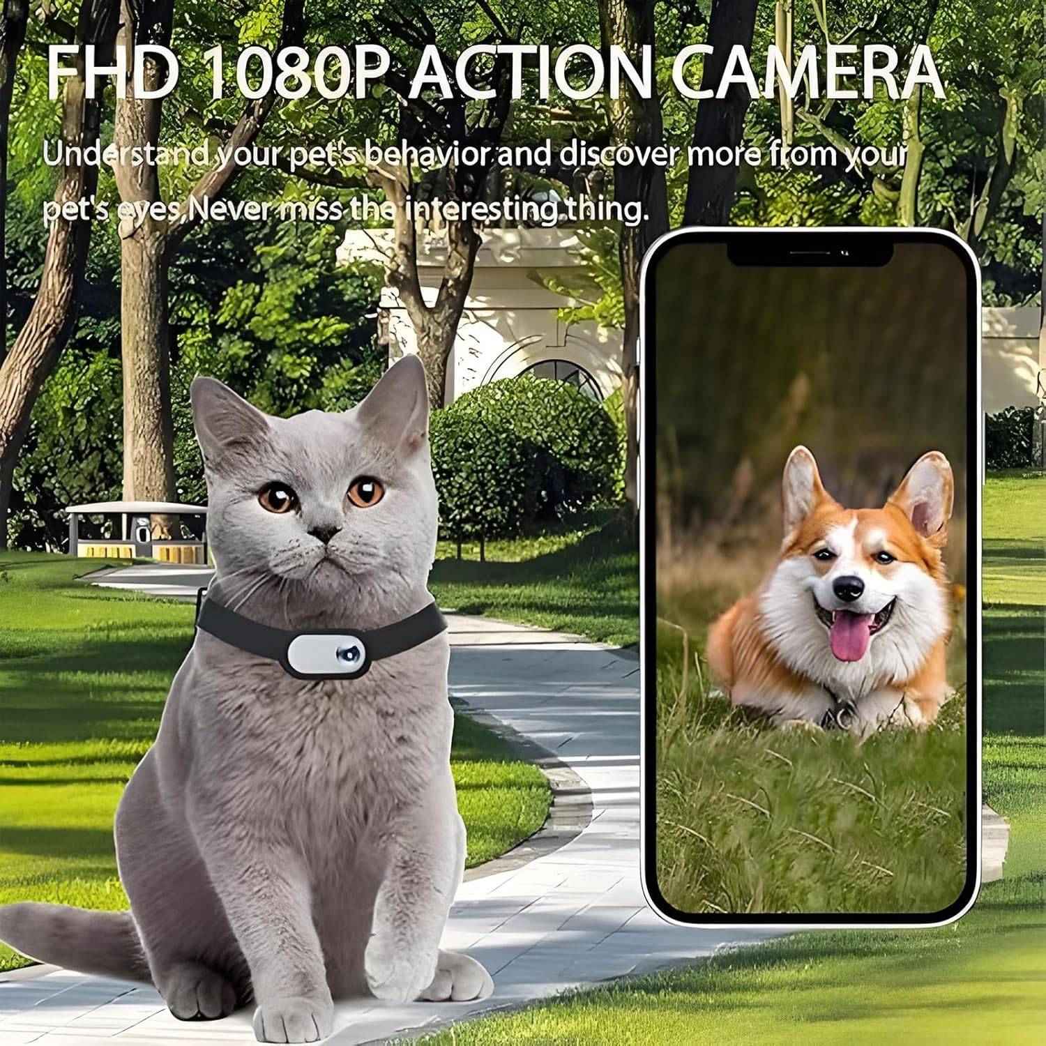 Collier de caméra de sport pour chat et chien MCBOSON - Image 3