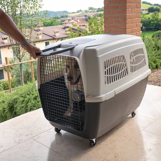 Ferplast - Ferplast Cage de Transport pour Chiens CLIPPER PLUS, IATA, Boite Panier Transport Grand Chien max 60 Kg, fermeture sécurisée, Compartiment pour - Image 6