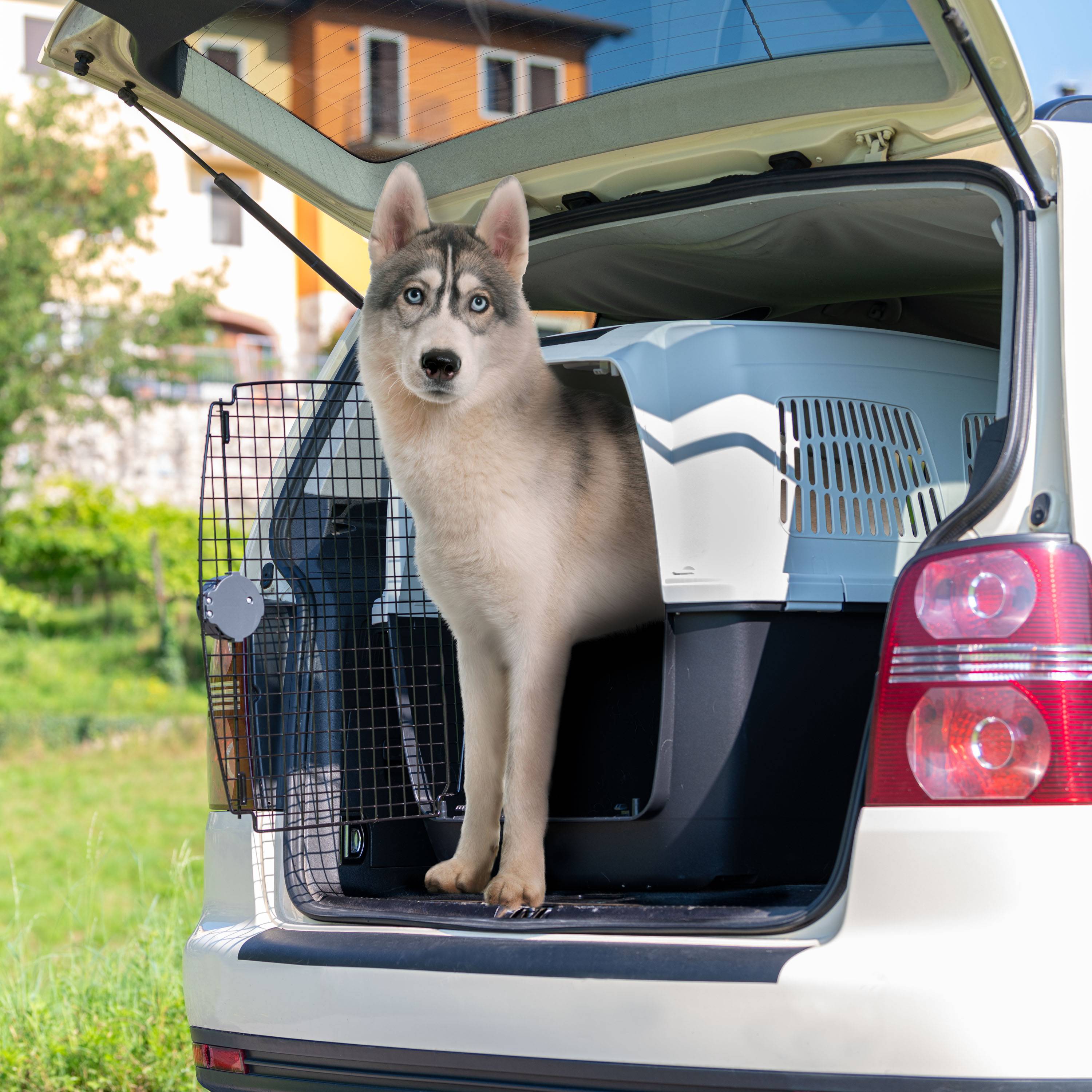 Ferplast - Ferplast Cage de Transport pour Chiens CLIPPER PLUS, IATA, Boite Panier Transport Grand Chien max 60 Kg, fermeture sécurisée, Compartiment pour - Image 4