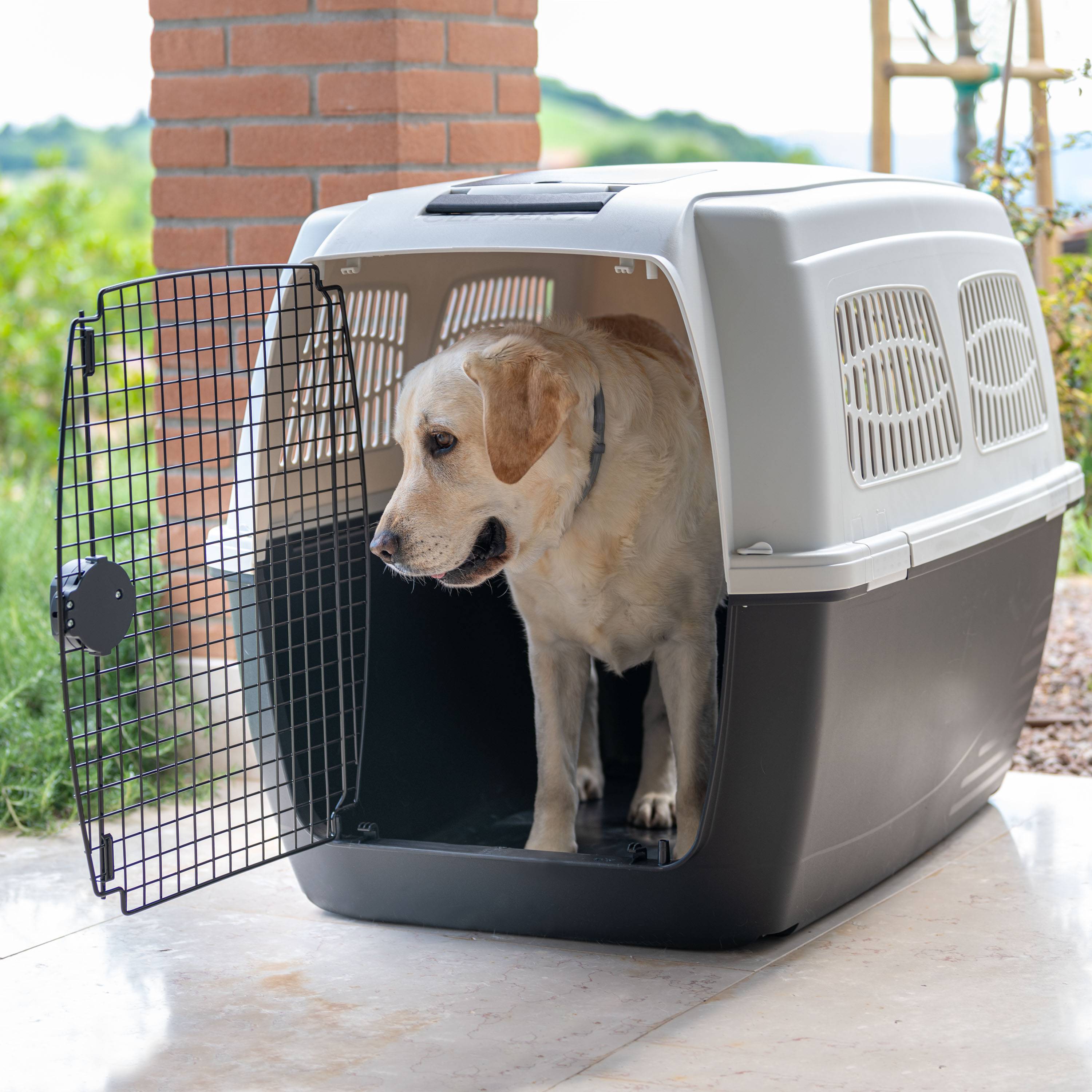 Ferplast - Ferplast Cage de Transport pour Chiens CLIPPER PLUS, IATA, Boite Panier Transport Grand Chien max 60 Kg, fermeture sécurisée, Compartiment pour - Image 5