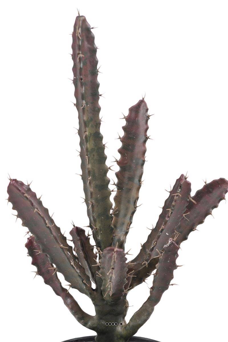 Artificielles - Cactus Euphorbe factice en pot Vert-Rouge Top qualité H45cm D20cm - dimhaut: H 45 cm - couleur: Vert-rouge - Imagen 3