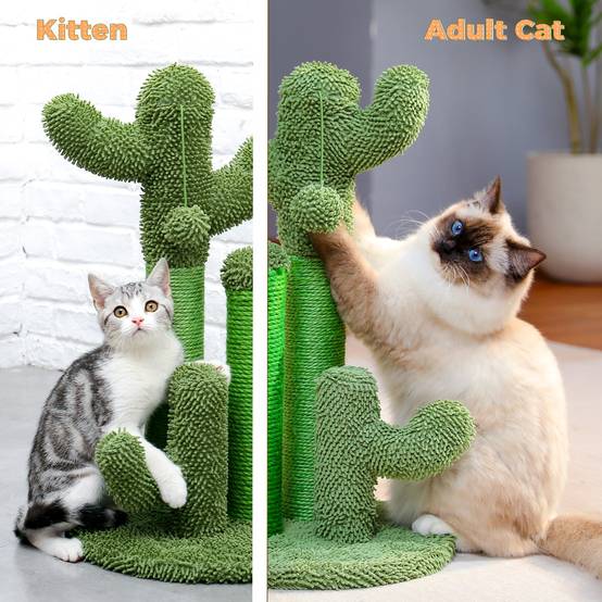Arbre à Chat Cactus Lot de 3 Vert (XL) PAWZ Road - Image 10