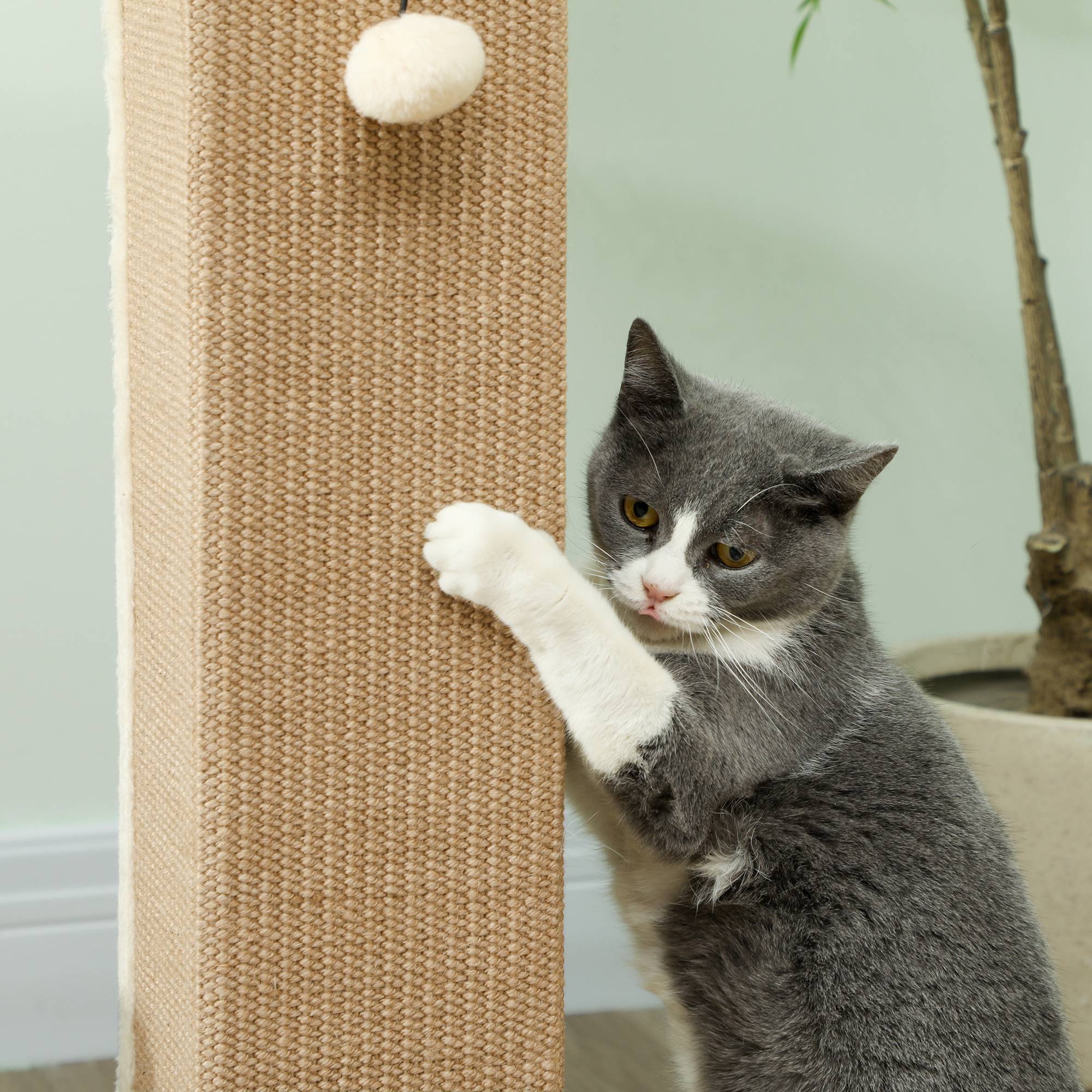 Poteau Griffoir Haut pour Chat 81 cm en Jute avec Balle de Jeu et Base Stable Beige - ComfortXL Outdoor Living - Image 9