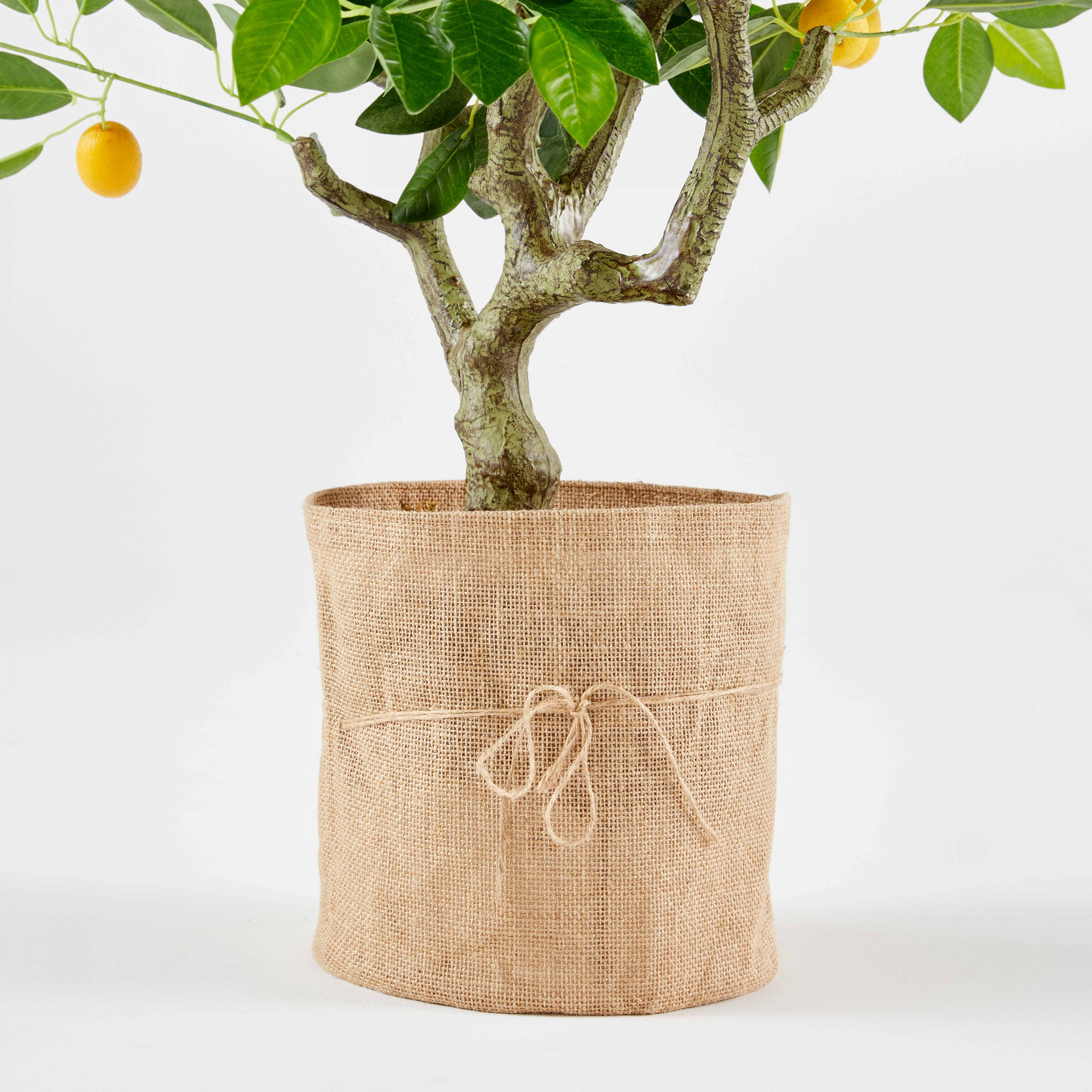 Oviala - Citronnier artificiel - Oviala - Imagen 5