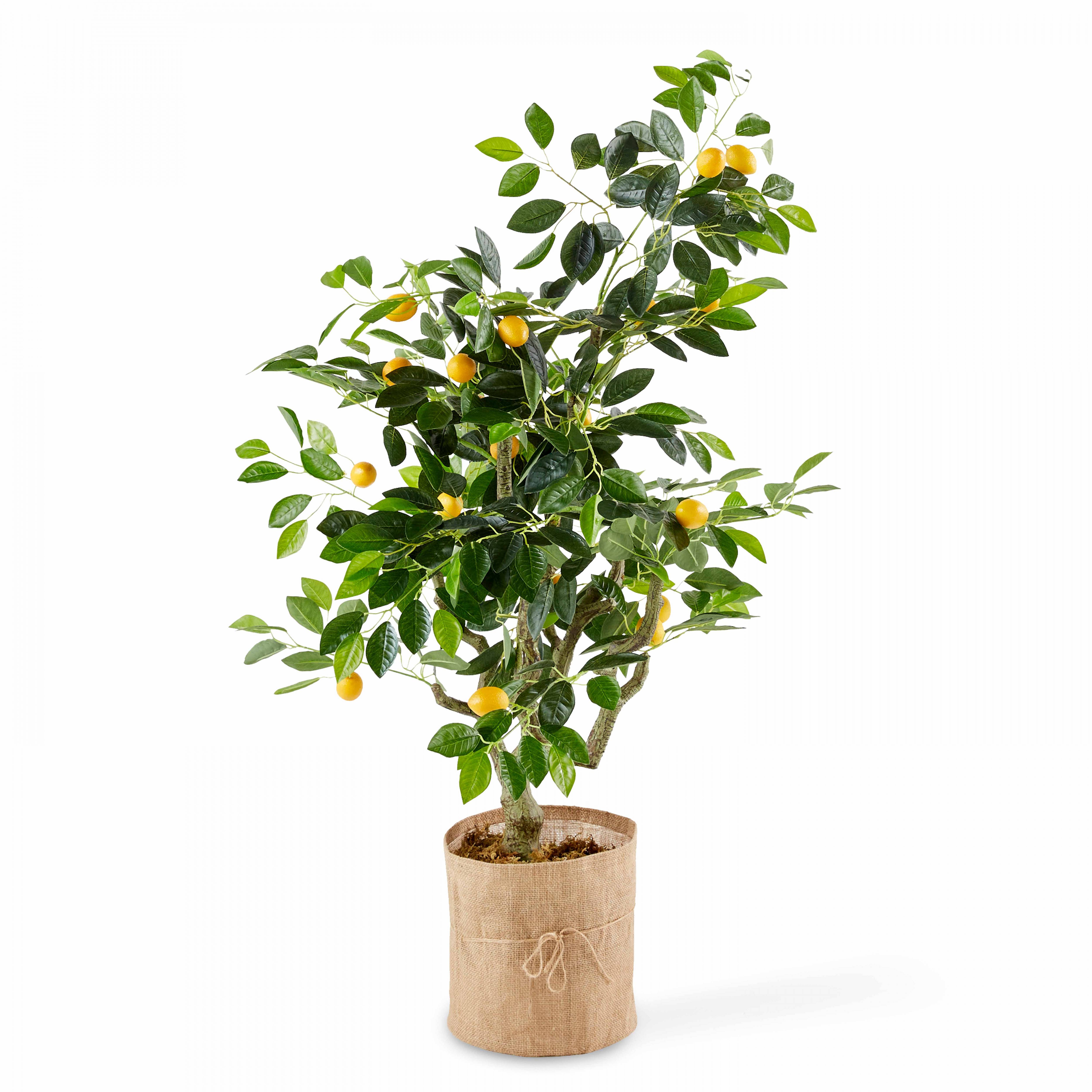 Oviala - Citronnier artificiel - Oviala - Imagen 1