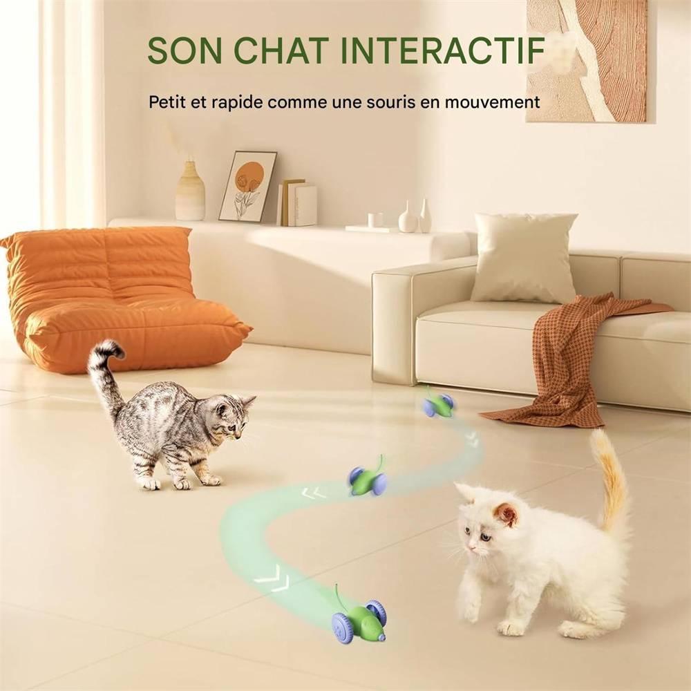 DtopbuyAge - Jouet souris pour chat(Vert) DtopbuyAge - Image 4