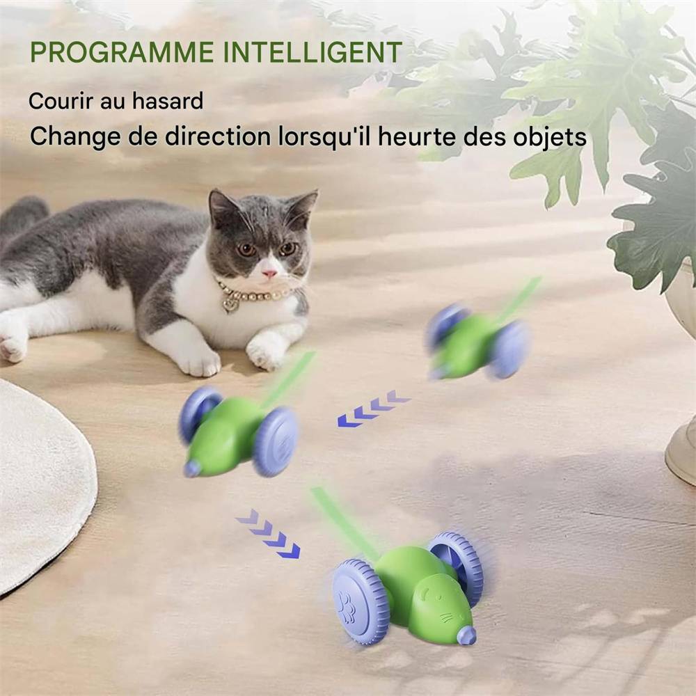 DtopbuyAge - Jouet souris pour chat(Vert) DtopbuyAge - Image 2