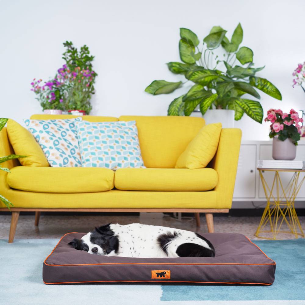 Ferplast - FERPLAST Panier Chien Chat - Coussin Orthopédique Chien - Lavable en Machine - Tapis Chien - Lit Chat Chien - Imperméable & Anti-Rayures - Rembourrage - Imagen 3