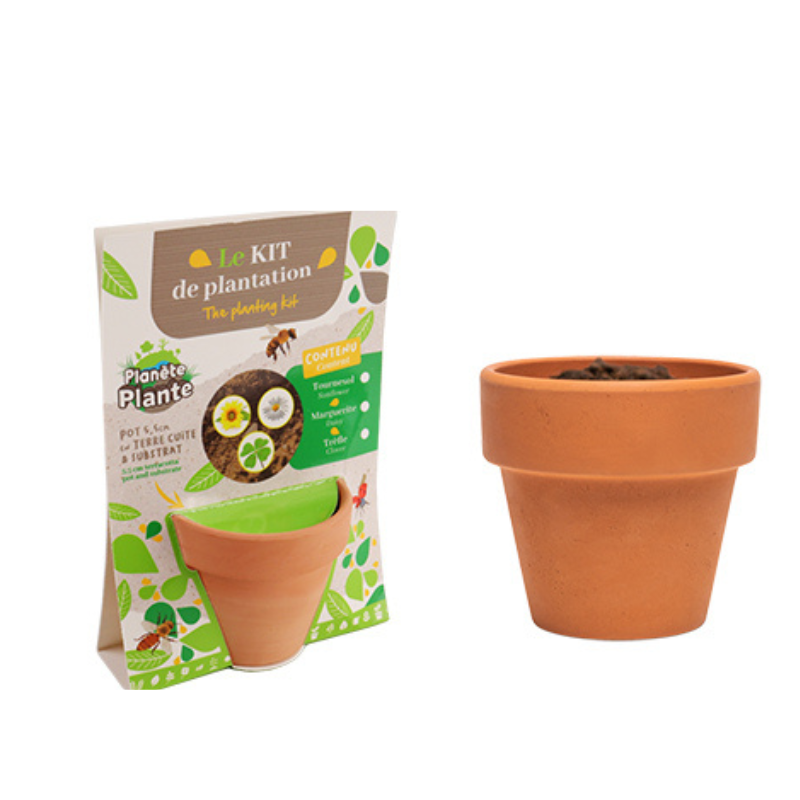 Mgm - Kit plantation enfant Pot en terre cuite et graines - Mgm - Image 2