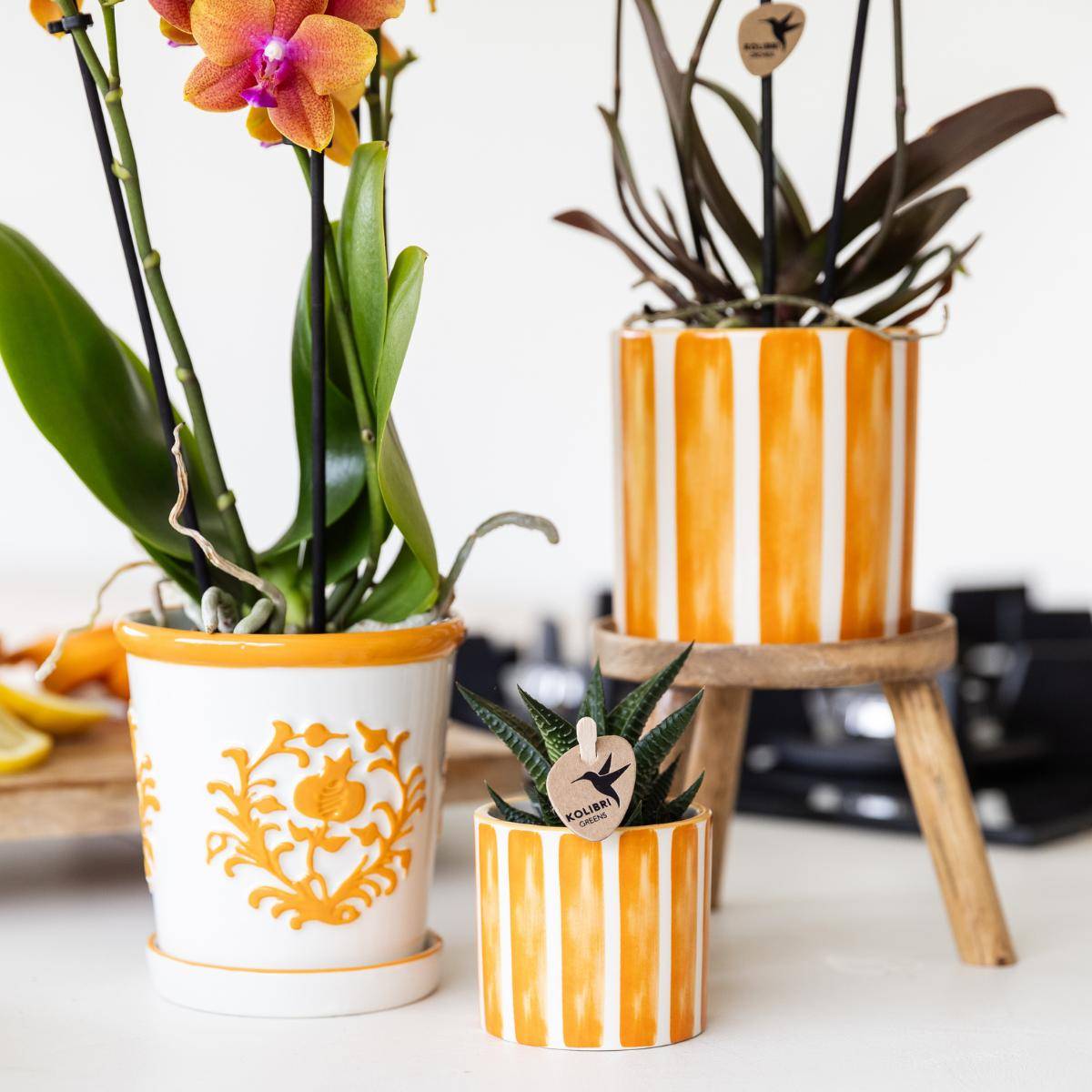 Pot décoratif Painted Stripe - Orange- La Green Touch - Image 3