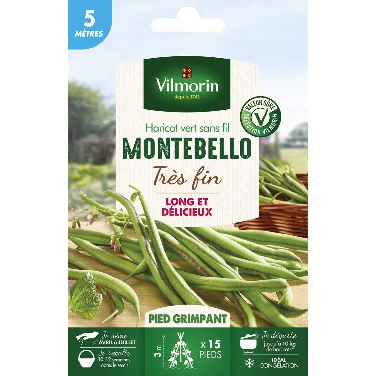 Vilmorin - Graines de Haricot vert sans fil Montebello très fin - 5 mètres - Vilmorin