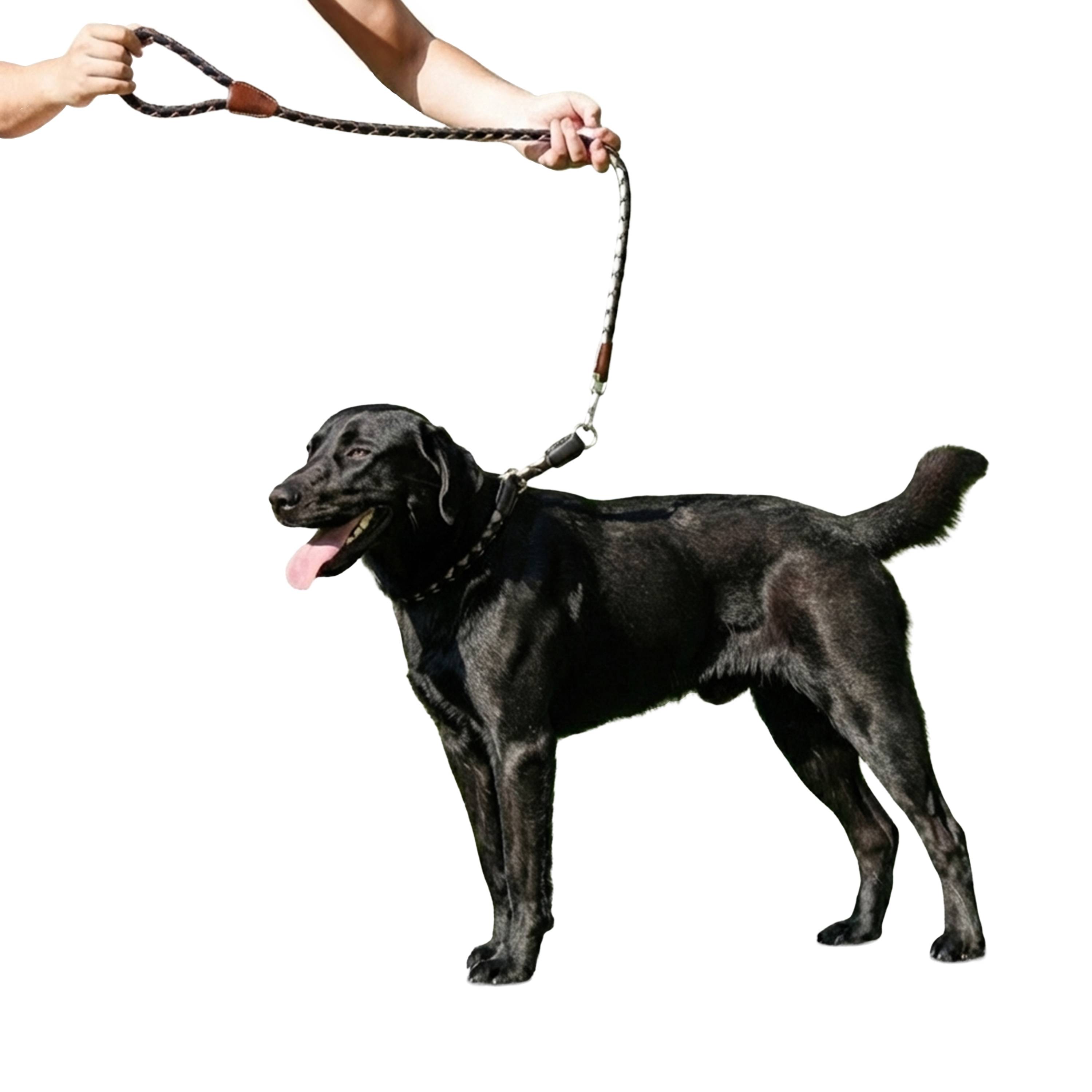 Ferplast - Laisse pour Chiens en Nylon tressé TWIST MATIC G18/110, avec Mousqueton Magnétique Automatique - Imagen 4