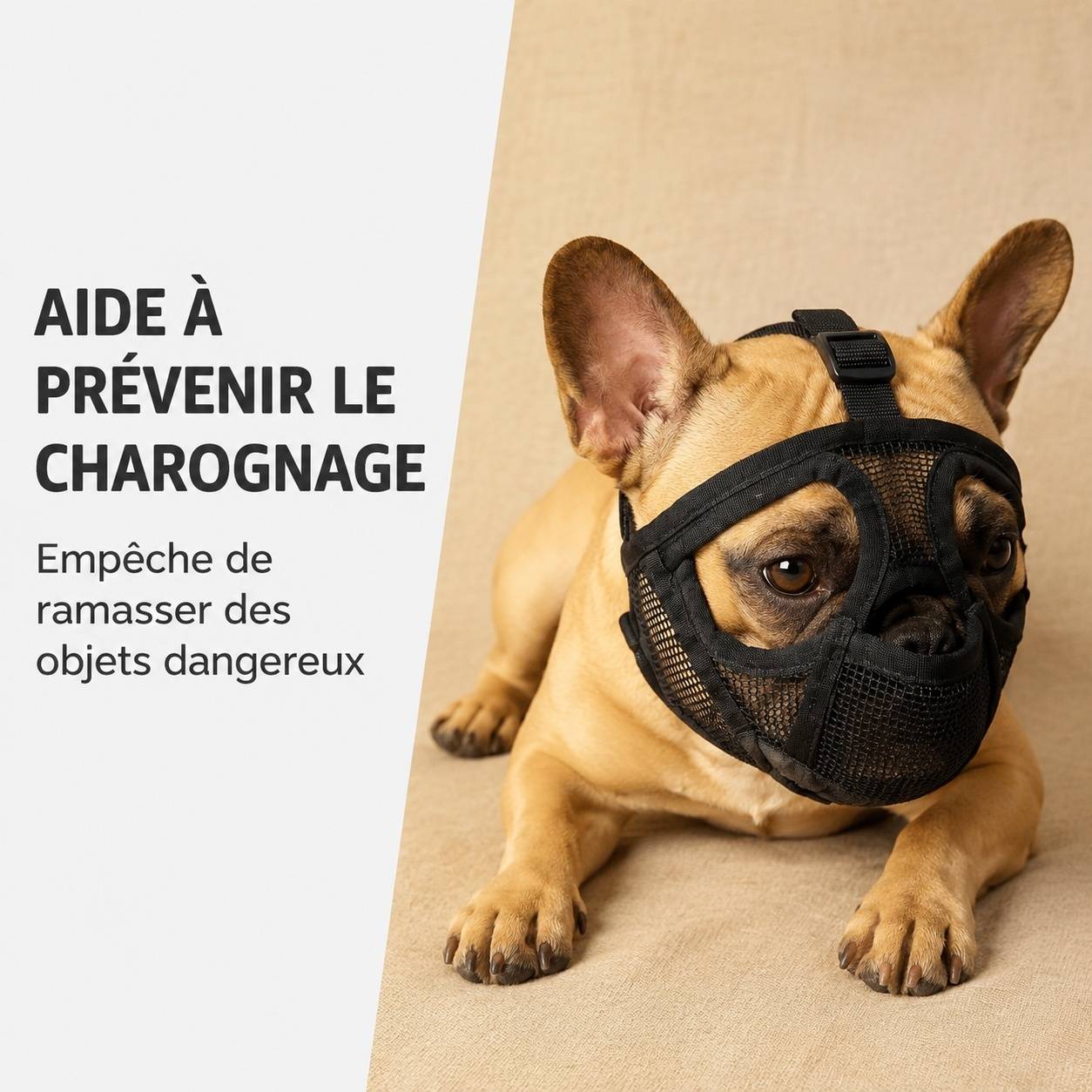 Muselière pour Bouledogues à museau court Respirante Confortable Anti Mordaison - Image 5