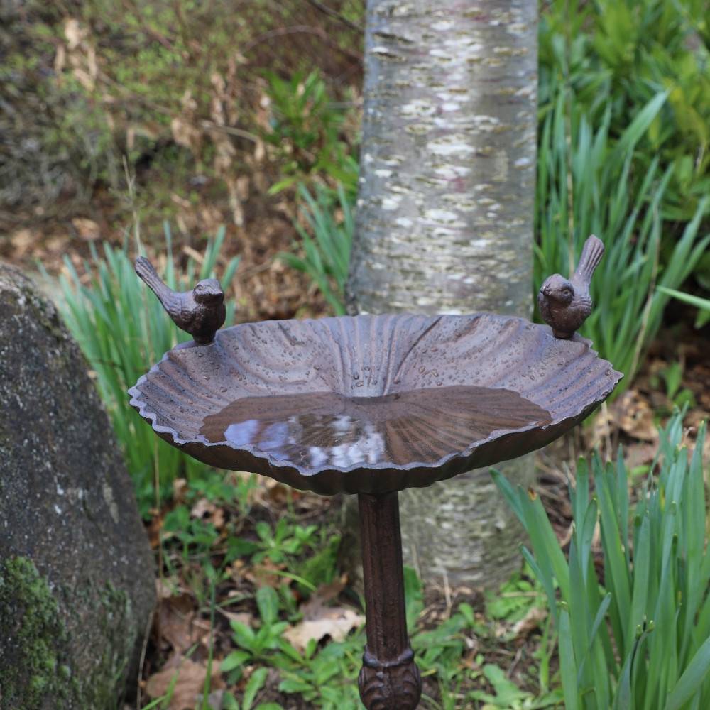 Abreuvoir Oiseau Jardiland