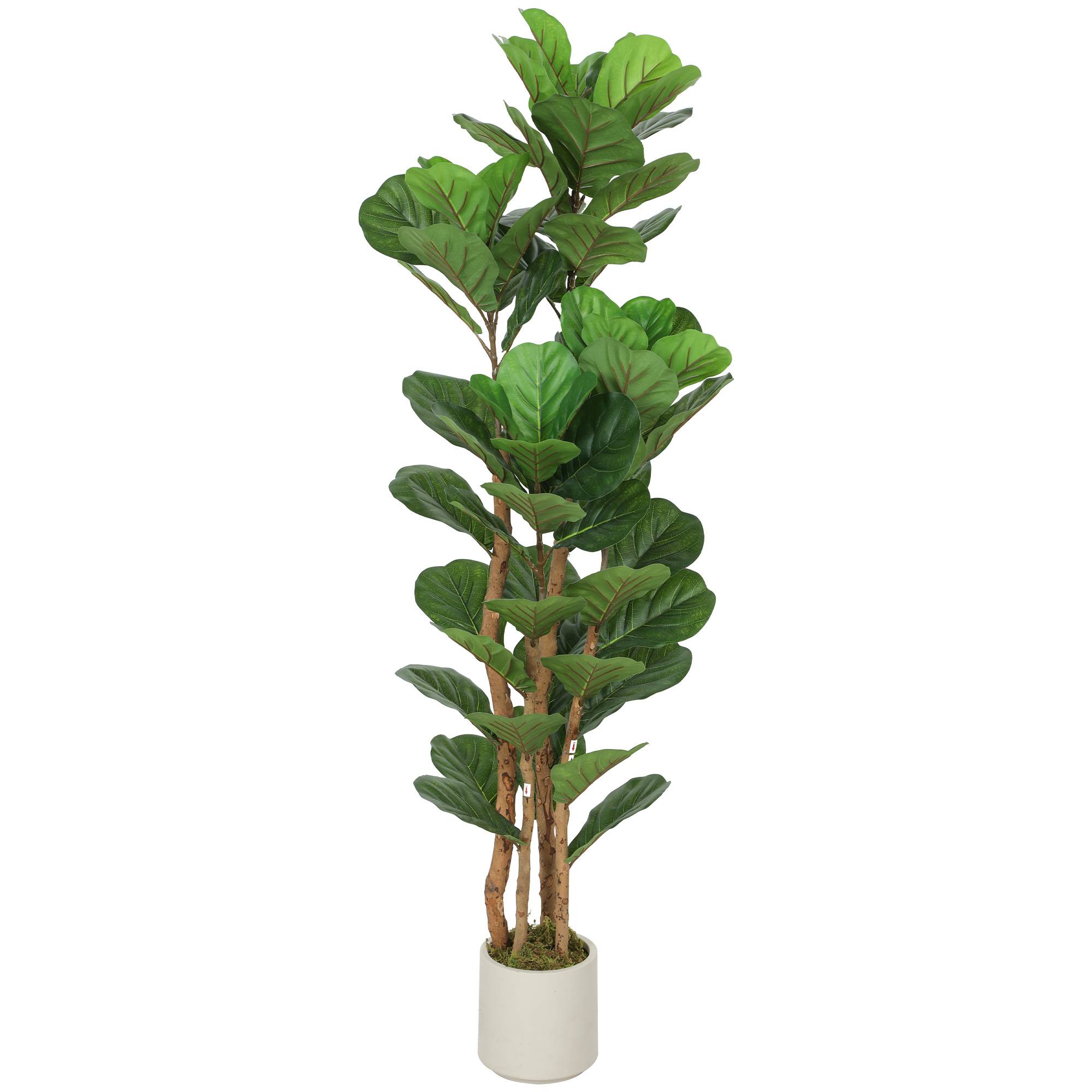 Figuier Artificiel Tronc Bois Plastique Intérieur Modulable 150cm Vert - ComfortXL Outdoor Living - Image 2