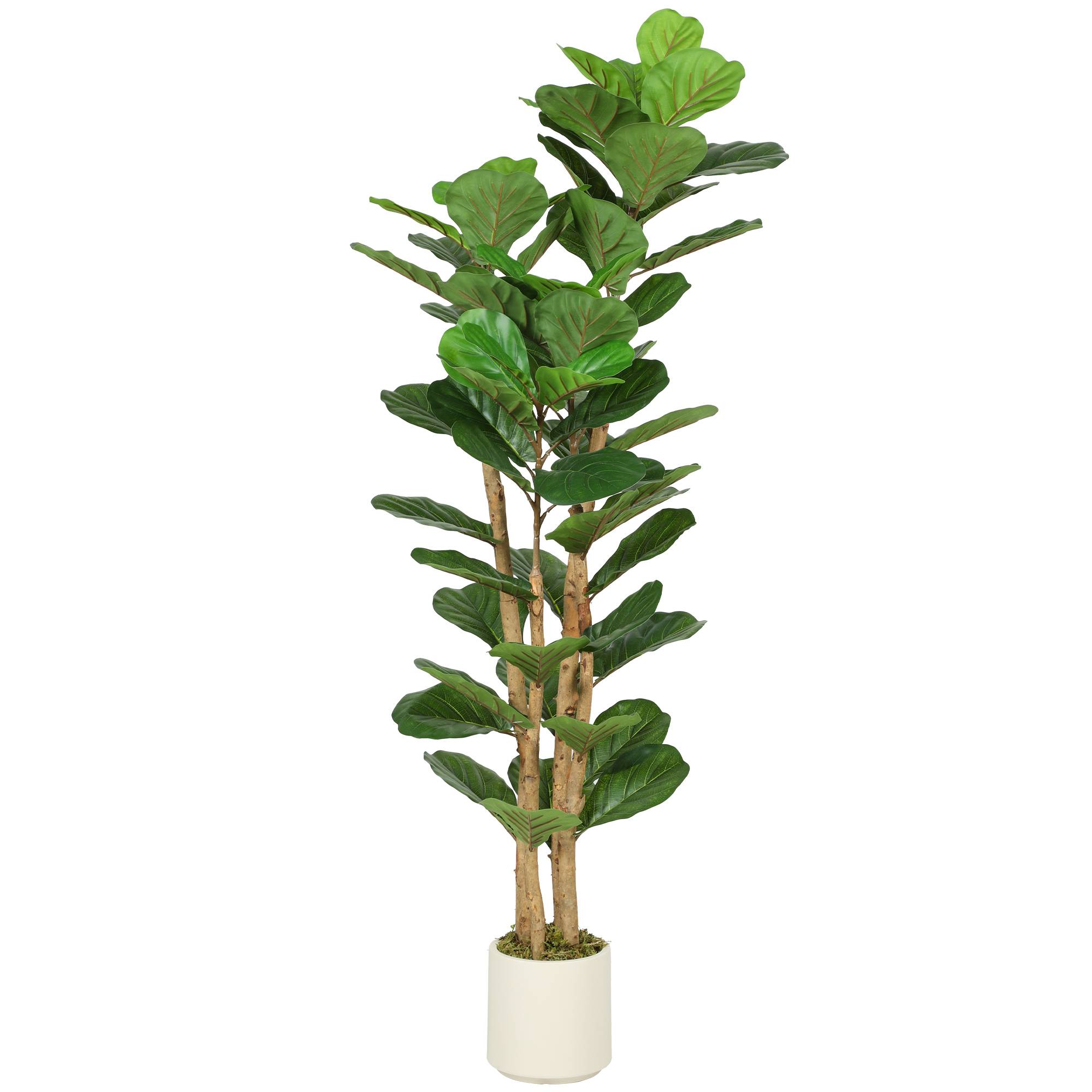 Figuier Artificiel Tronc Bois Plastique Intérieur Modulable 150cm Vert - ComfortXL Outdoor Living