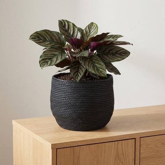 Cache-pot panier noir - D.26cm - Image 4
