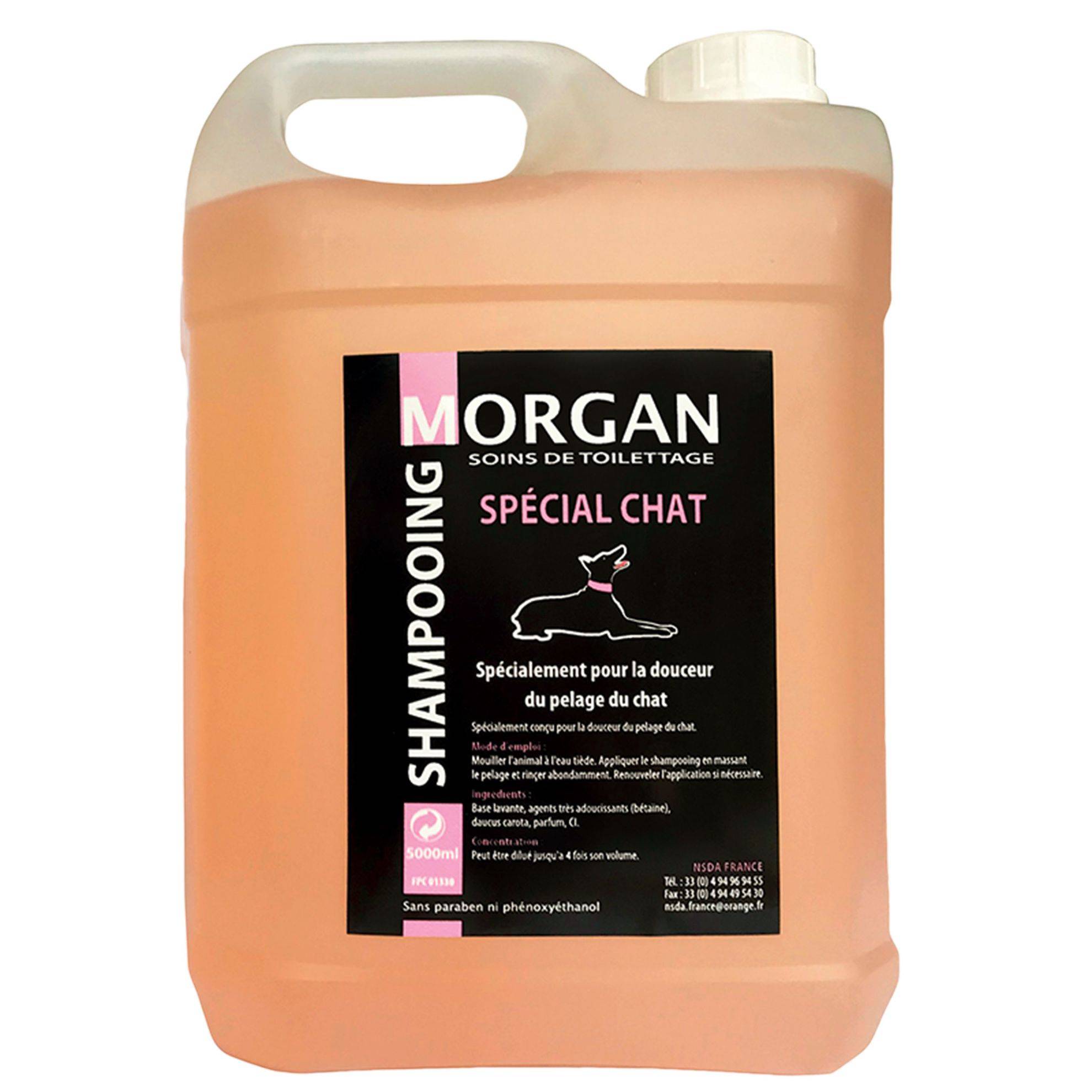 Shampooing spécial chat: 5L MORGAN