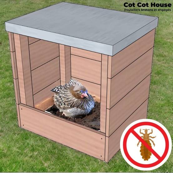 Bain de poussière anti parasites - Cot Cot House - Image 4