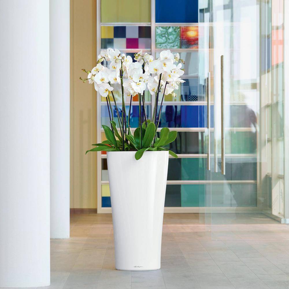 Lechuza - Delta Premium 30 - kit complet, blanc brillant 56 cm Lechuza - Imagen 4
