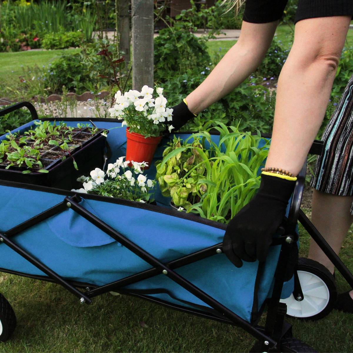Monstershop - Chariot Pliable de Jardin – Bleu - Imagen 3