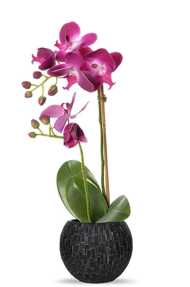Artificielles - Orchidee artificielle 2 hampes en pot H 40 cm touché réel Erica - couleur: Erica - Imagen 2