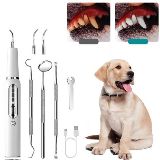 IntiMeg - Nettoyant pour dents de chien IntiMeg - Image 2