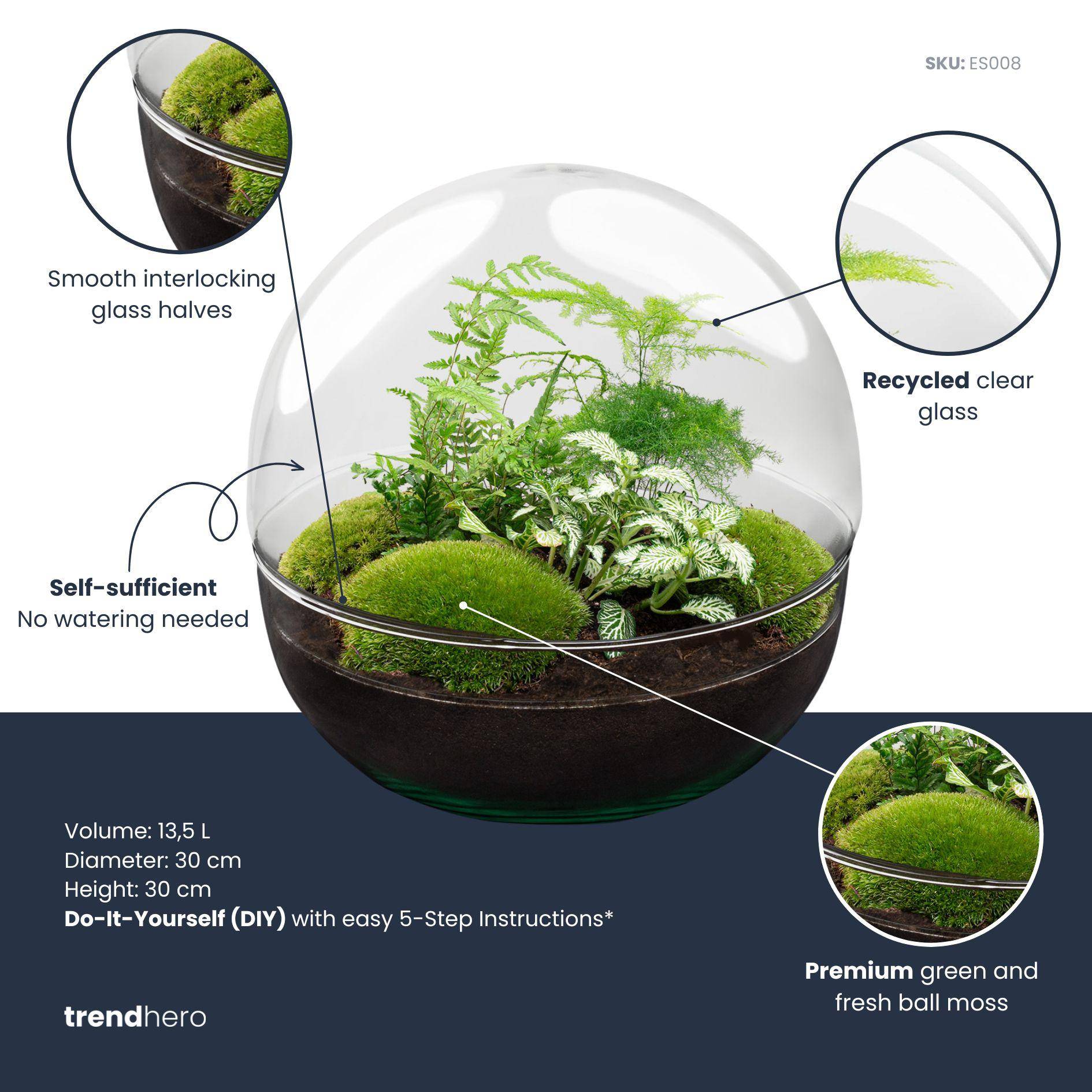 Terrarium à composer boule en verre recyclé - Ø30-H30cm - sans outils - Fern White - Terrarium DIY - Image 2