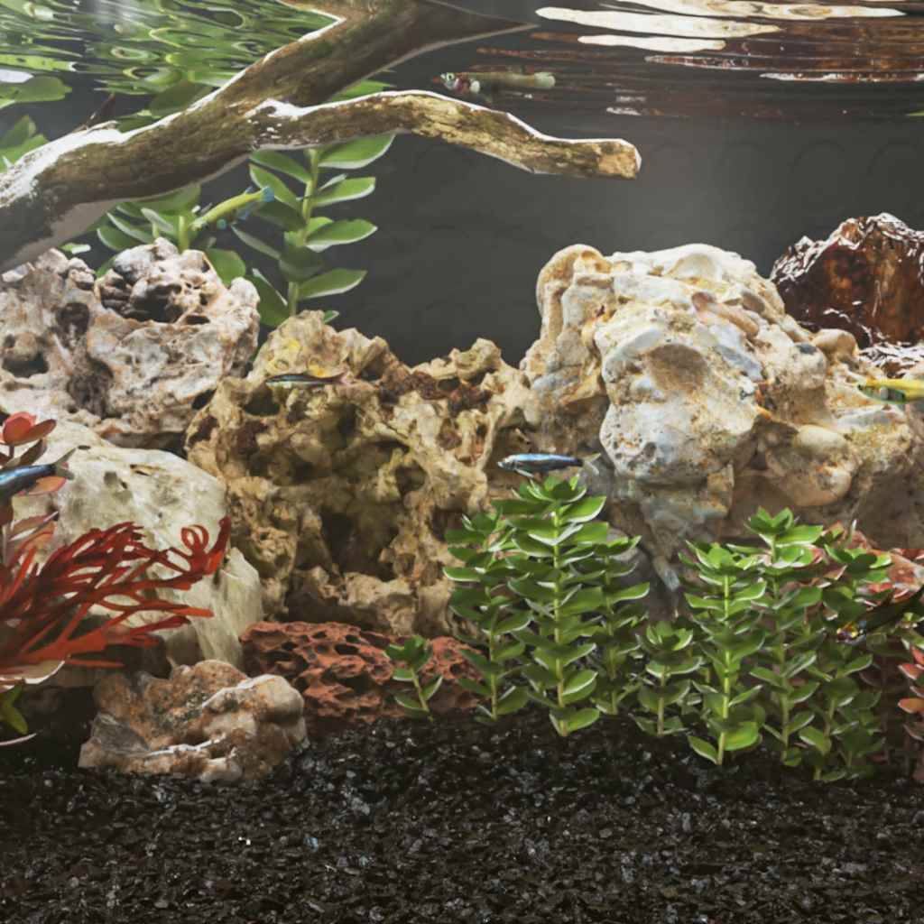 Pierres du Dragon Grises Roche Décoration Aquarium Aquascaping Terrarium 10-40 cm 25 kg - ComfortXL Outdoor Living - Image 1