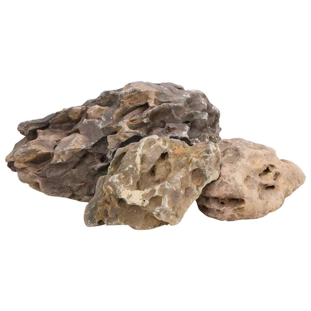 Pierres du Dragon Grises Roche Décoration Aquarium Aquascaping Terrarium 10-40 cm 25 kg - ComfortXL Outdoor Living - Image 3