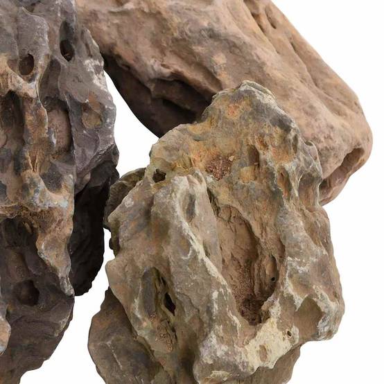 Pierres du Dragon Grises Roche Décoration Aquarium Aquascaping Terrarium 10-40 cm 25 kg - ComfortXL Outdoor Living - Image 5