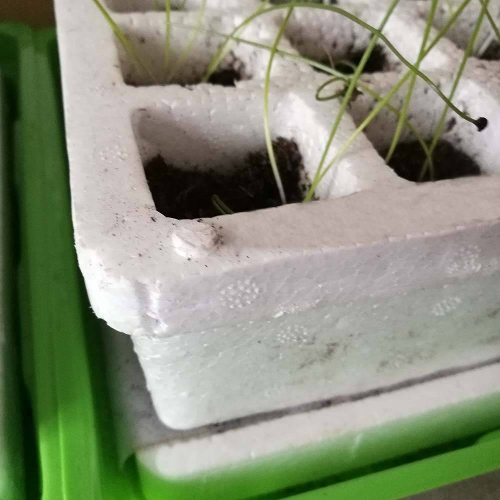 Terre Jardin - Kit de germination pour semis 40 godets 40 x 25 cm - TERRE JARDIN - Image 8