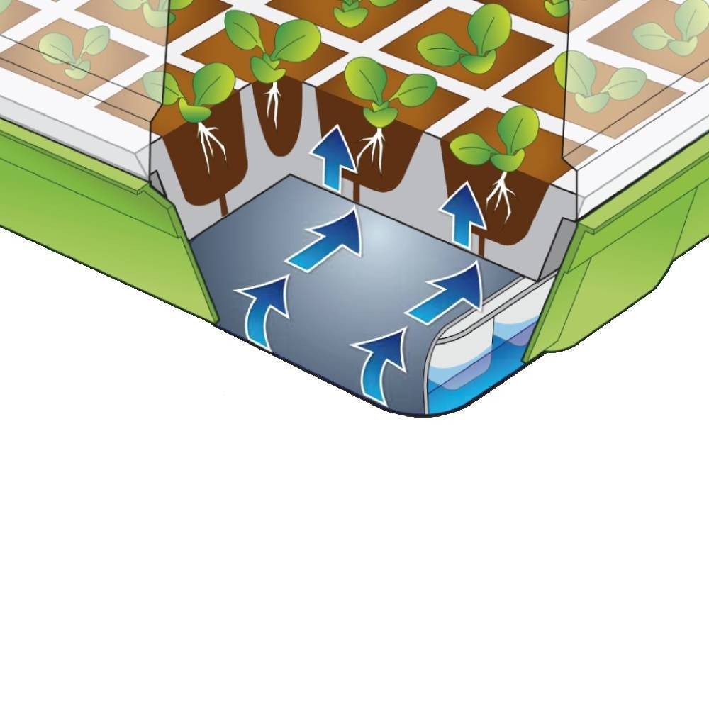 Terre Jardin - Kit de germination pour semis 40 godets 40 x 25 cm - TERRE JARDIN - Image 6