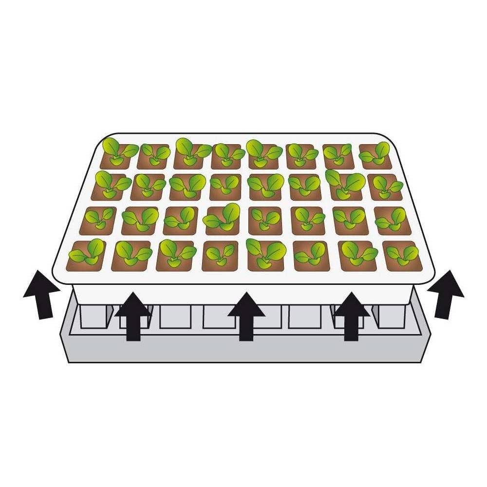 Terre Jardin - Kit de germination pour semis 40 godets 40 x 25 cm - TERRE JARDIN - Image 5