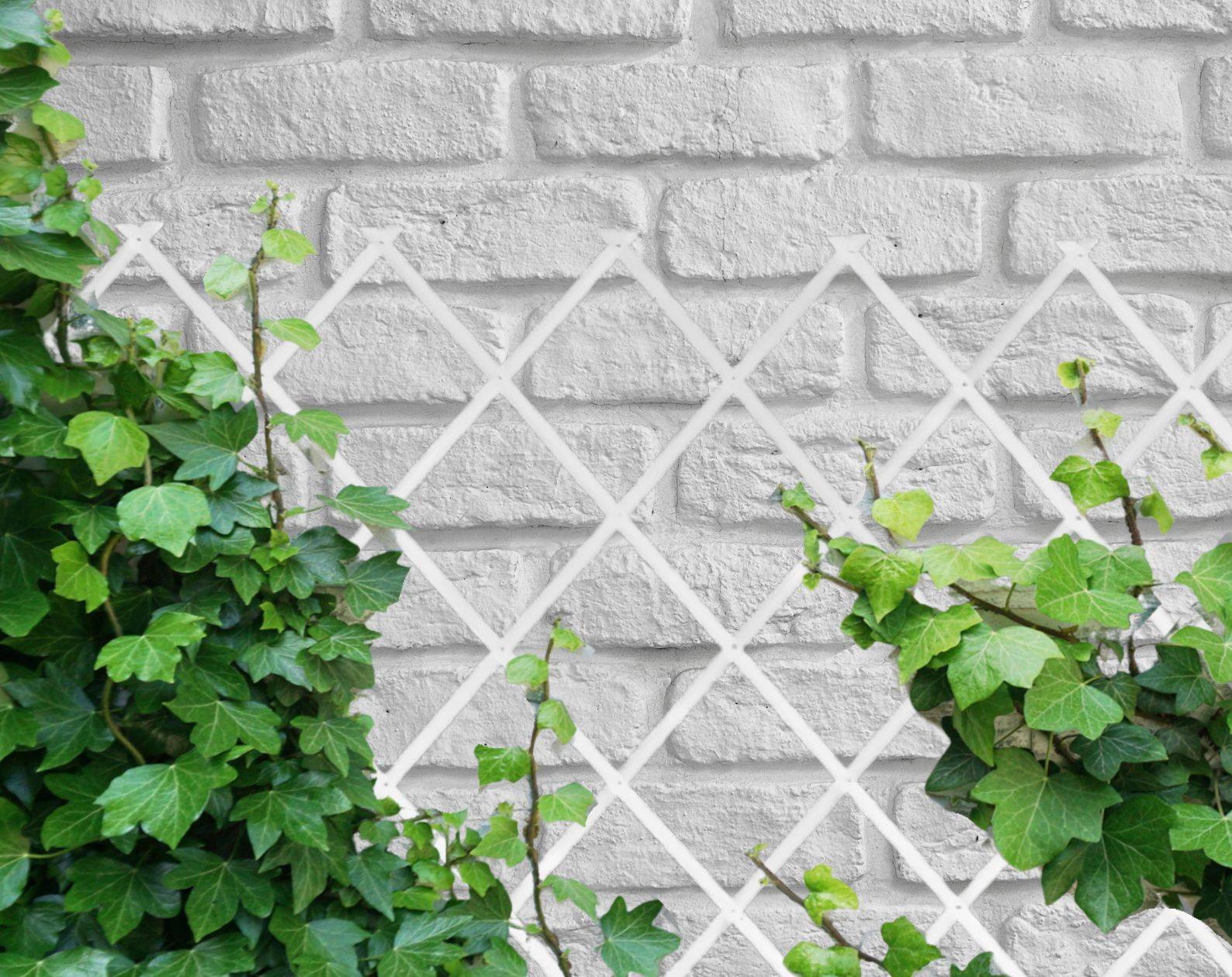 Comercial Candela - Treillis Bois| Blanc| 100% Bois Pin| 0,5X1,5M| Gardien Des Plantes| Résistant| Decoration Jardin - Imagen 9