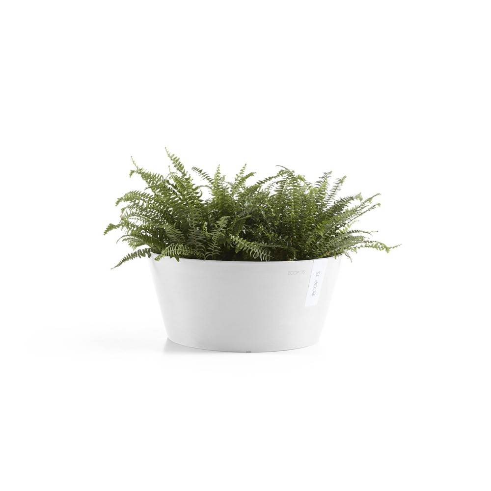 Ecopots - Pot Frankfurt 30 Pure White ECOPOTS - Imagen 2