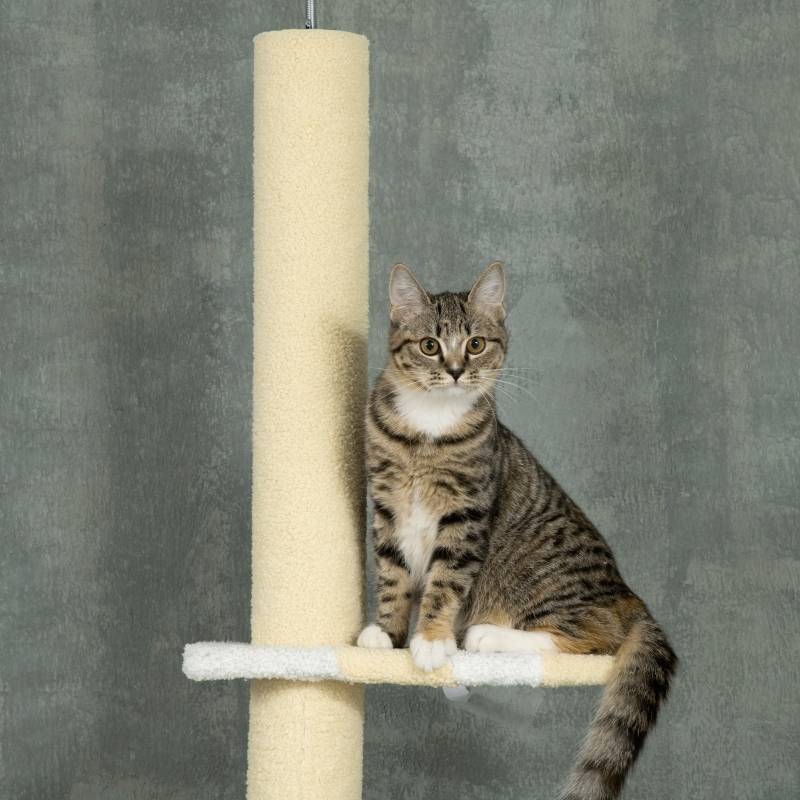 PANGIVO - Arbre à chat bois et polyester jaune blanc bleu 47 x 34 x 220-260 cm - PANGIVO - Image 8