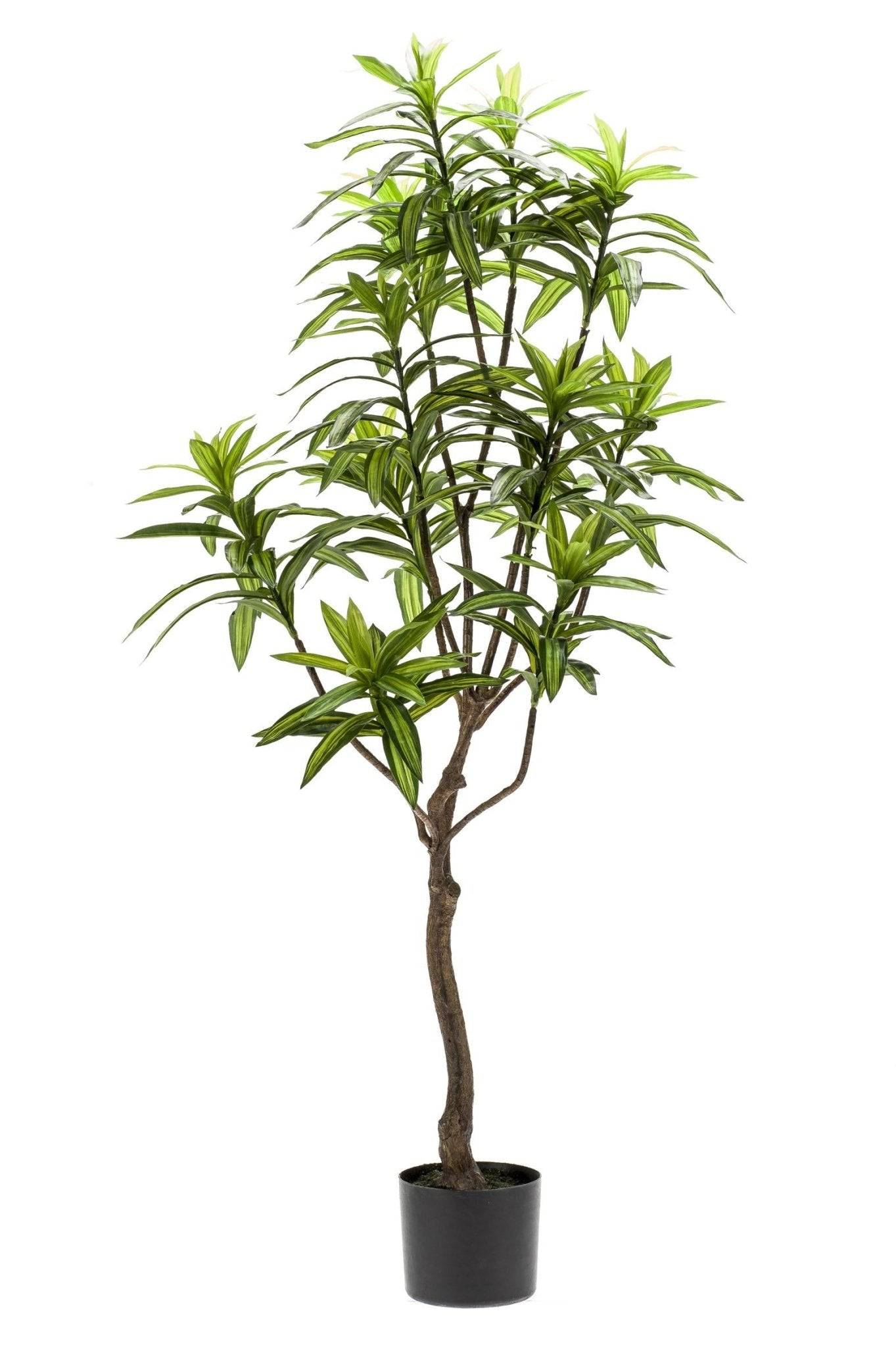 La Green Touch - Dracaena plante artificielle - h130cm, Ø14cm- La Green Touch - Imagen 2